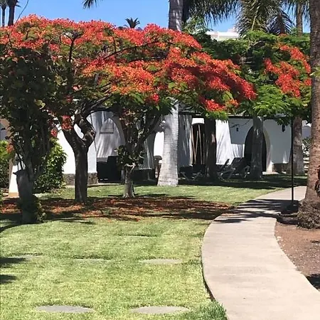 Bungalow Elegance Maspalomas (Gran Canaria)